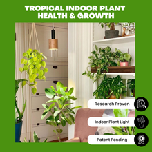 Load image into Gallery viewer, NorbTROPIC A19