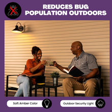 Load image into Gallery viewer, NorbBUG LITE A19