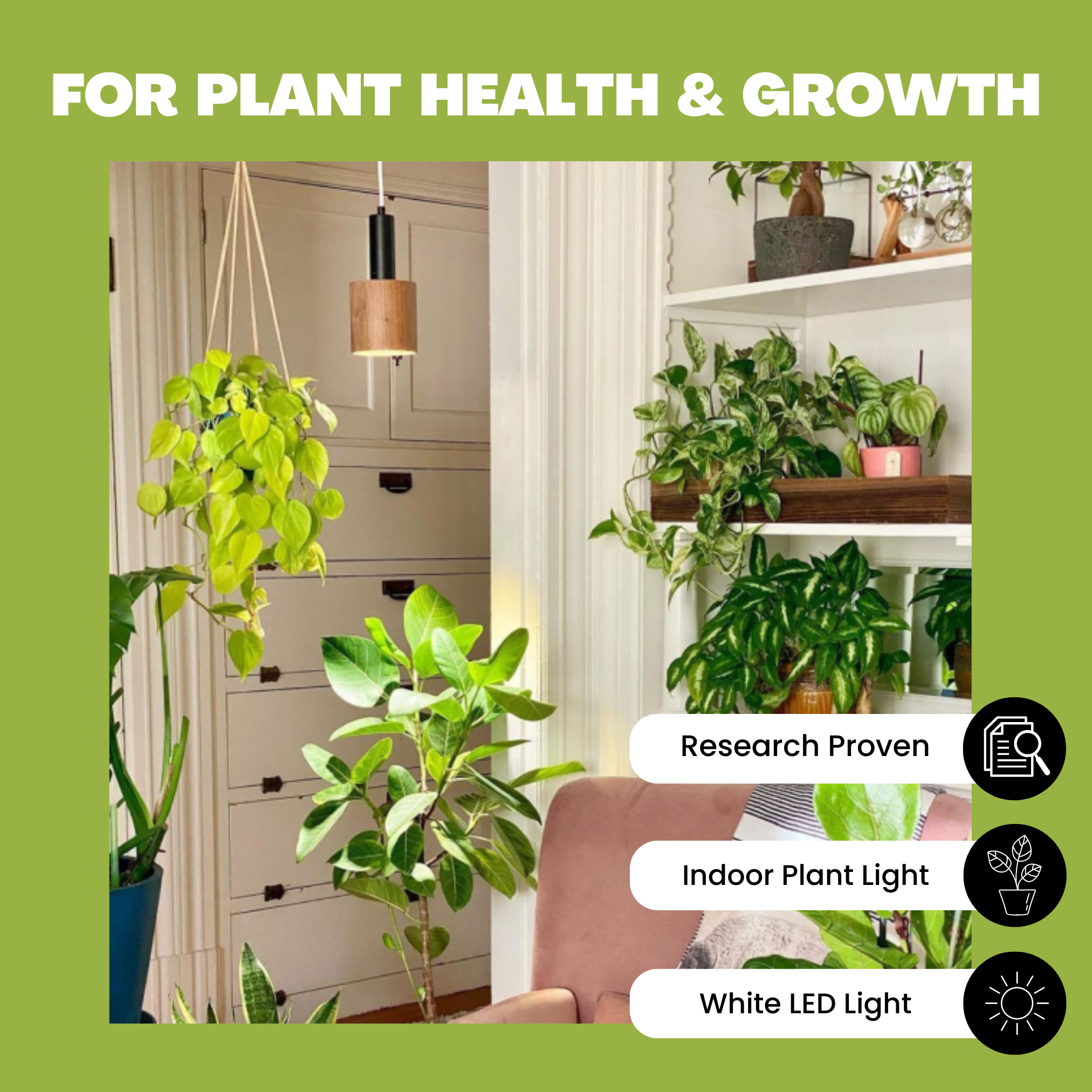 Botanic Grow Light - Architectural Grade