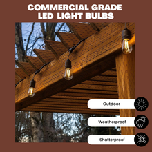 Load image into Gallery viewer, NorbSOLAR 1W DC Solar String Light Replacement Bulbs