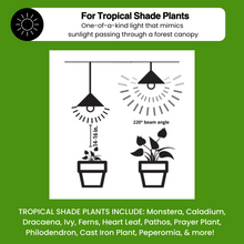 Load image into Gallery viewer, NorbTROPIC A19