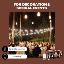 Load image into Gallery viewer, NorbSOLAR 1W DC Solar String Light Replacement Bulbs