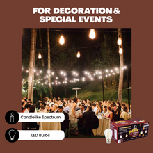 Load image into Gallery viewer, NorbSTRING 2W AC String Light Replacement Bulbs