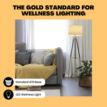 Load image into Gallery viewer, NorbSMILE SOFT A19