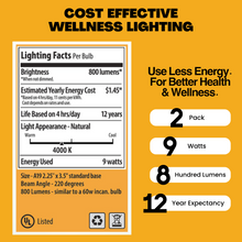 Load image into Gallery viewer, NorbEVERYDAY-SUN SOFT A19 (2-Pack)