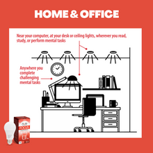 Load image into Gallery viewer, NorbFOCUS A19