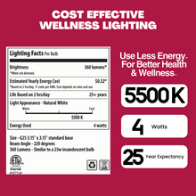 Load image into Gallery viewer, NorbBEAUTY G25 Vanity Bulb