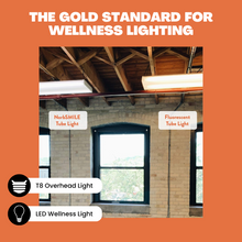 Load image into Gallery viewer, NorbSMILE T8