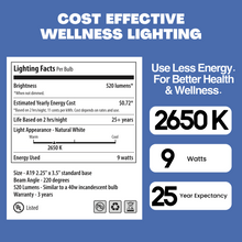 Load image into Gallery viewer, NorbSLEEP A19