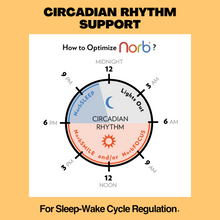 Load image into Gallery viewer, NorbSMILE SOFT A19