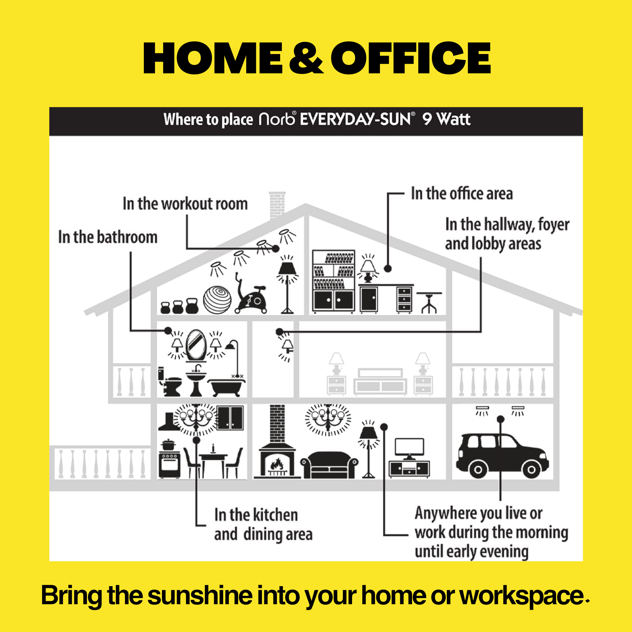 Everyday-Sun - Daylight Bulb