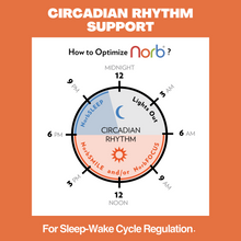 Load image into Gallery viewer, NorbSMILE A19