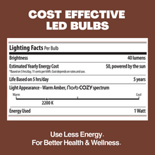 Load image into Gallery viewer, NorbSOLAR 1W DC Solar String Light Replacement Bulbs