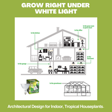 Load image into Gallery viewer, NorbBOTANIC PAR38