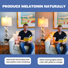 Load image into Gallery viewer, NorbSLEEP A19