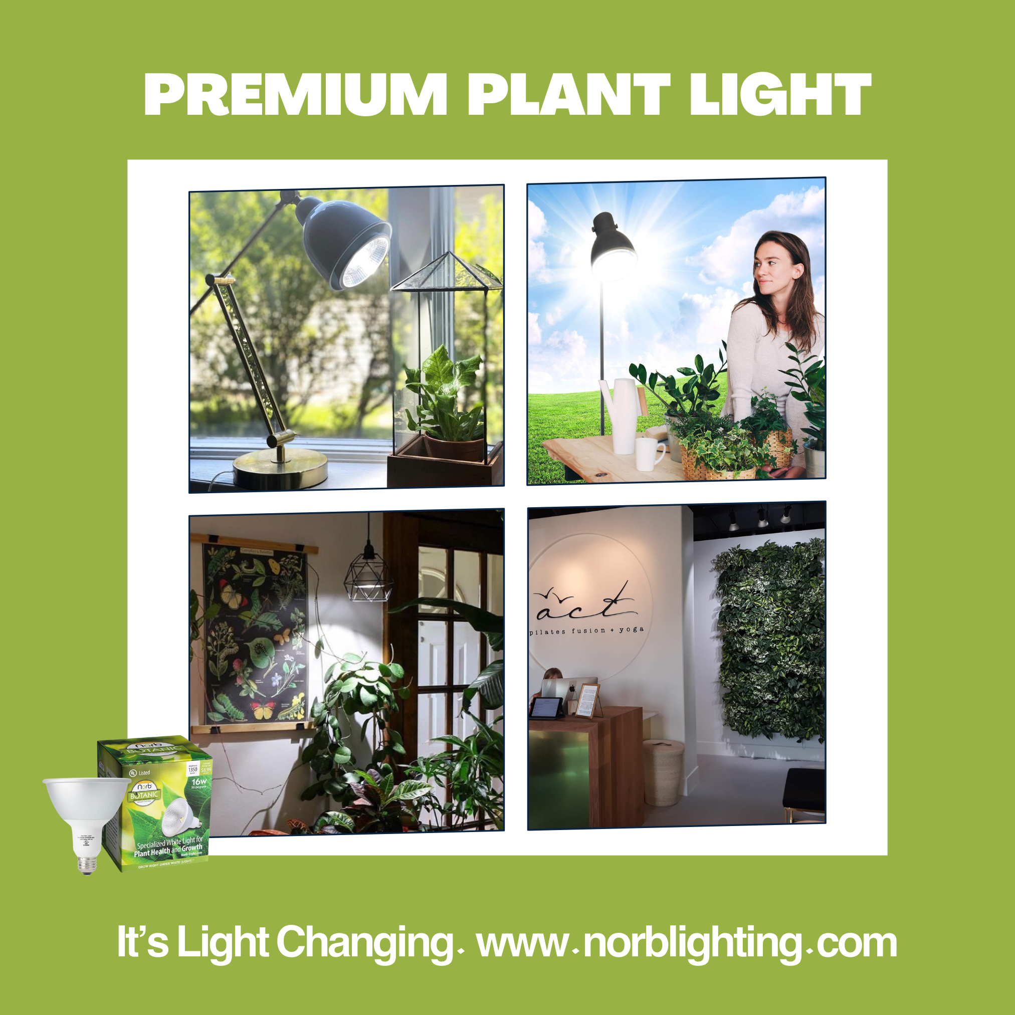 Botanic Grow Light - Architectural Grade