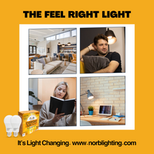 Load image into Gallery viewer, NorbEVERYDAY-SUN SOFT A19 (2-Pack)