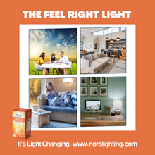 Load image into Gallery viewer, NorbSMILE A19 Sunlike Full Spectrum Bulb (11W)