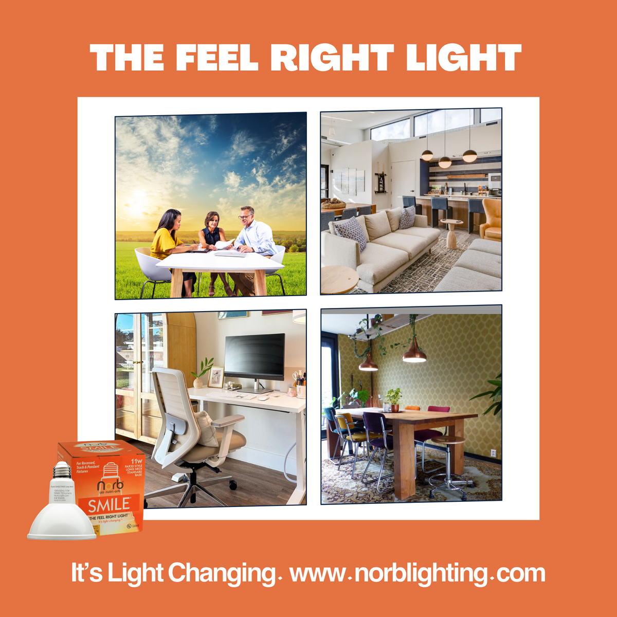 Smile | Premium Sun-Spectrum Flood Light