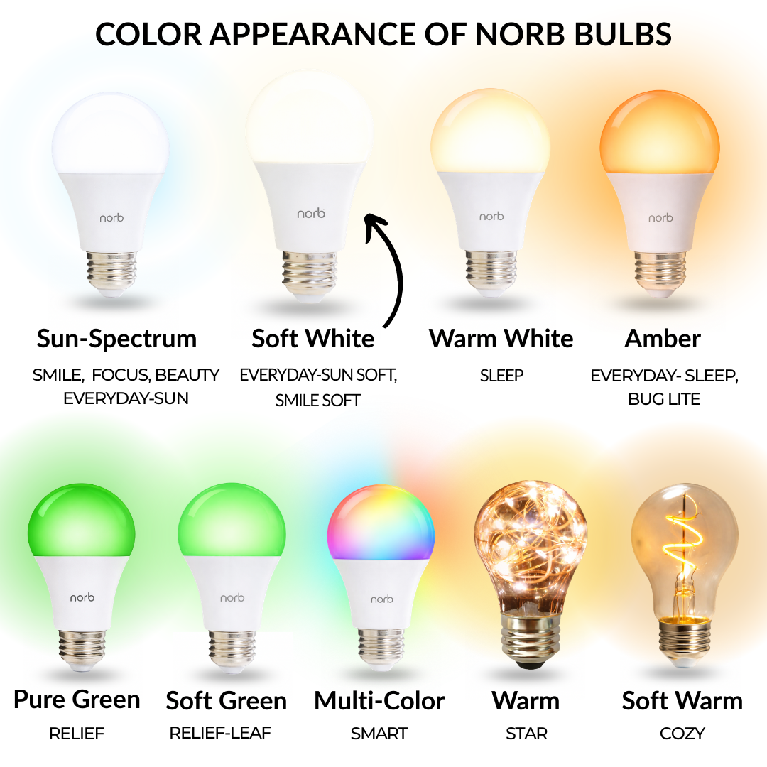 Everyday-Sun Soft - Economy Sun-Spectrum Light