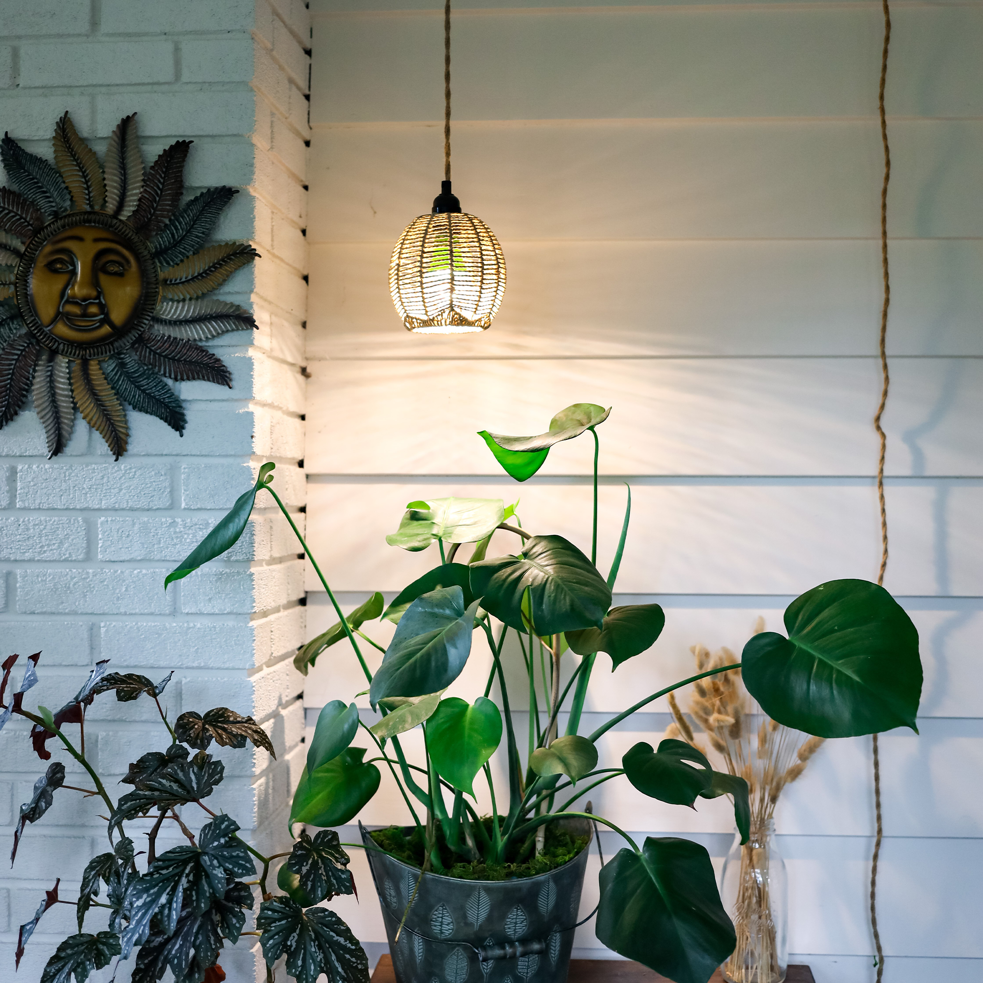 Botanic Grow Light - Small Scale