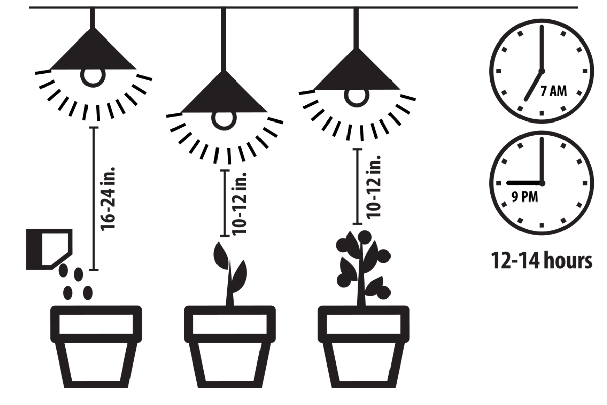 Botanic Grow Light - Medium Scale