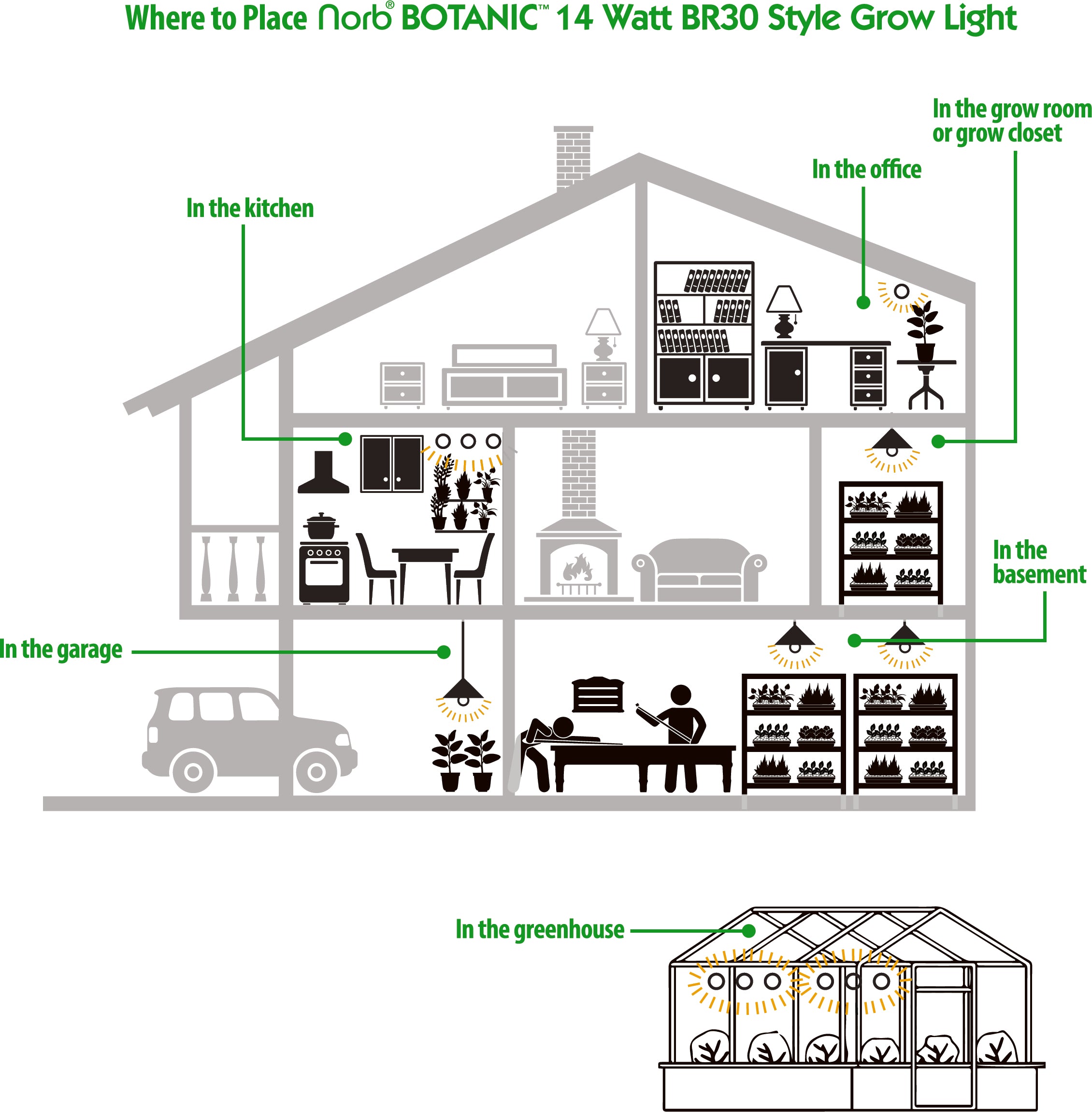 Botanic Grow Light - Medium Scale