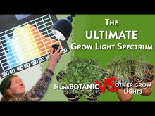 Load and play video in Gallery viewer, NorbBOTANIC A19