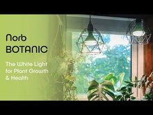 Load and play video in Gallery viewer, NorbBOTANIC A19