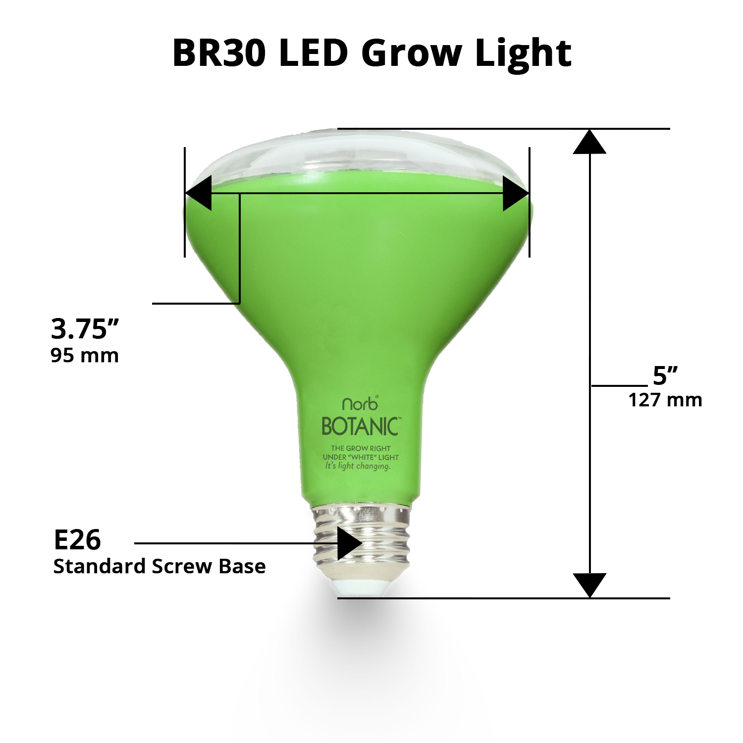 Botanic Grow Light - Medium Scale