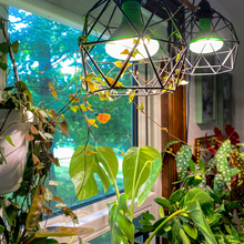 Load image into Gallery viewer, NorbBOTANIC BR30