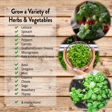 Load image into Gallery viewer, NorbBOTANIC UFO