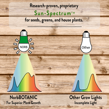 Load image into Gallery viewer, NorbBOTANIC BR30