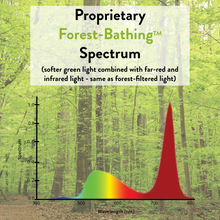 Load image into Gallery viewer, NorbRELIEF LEAF