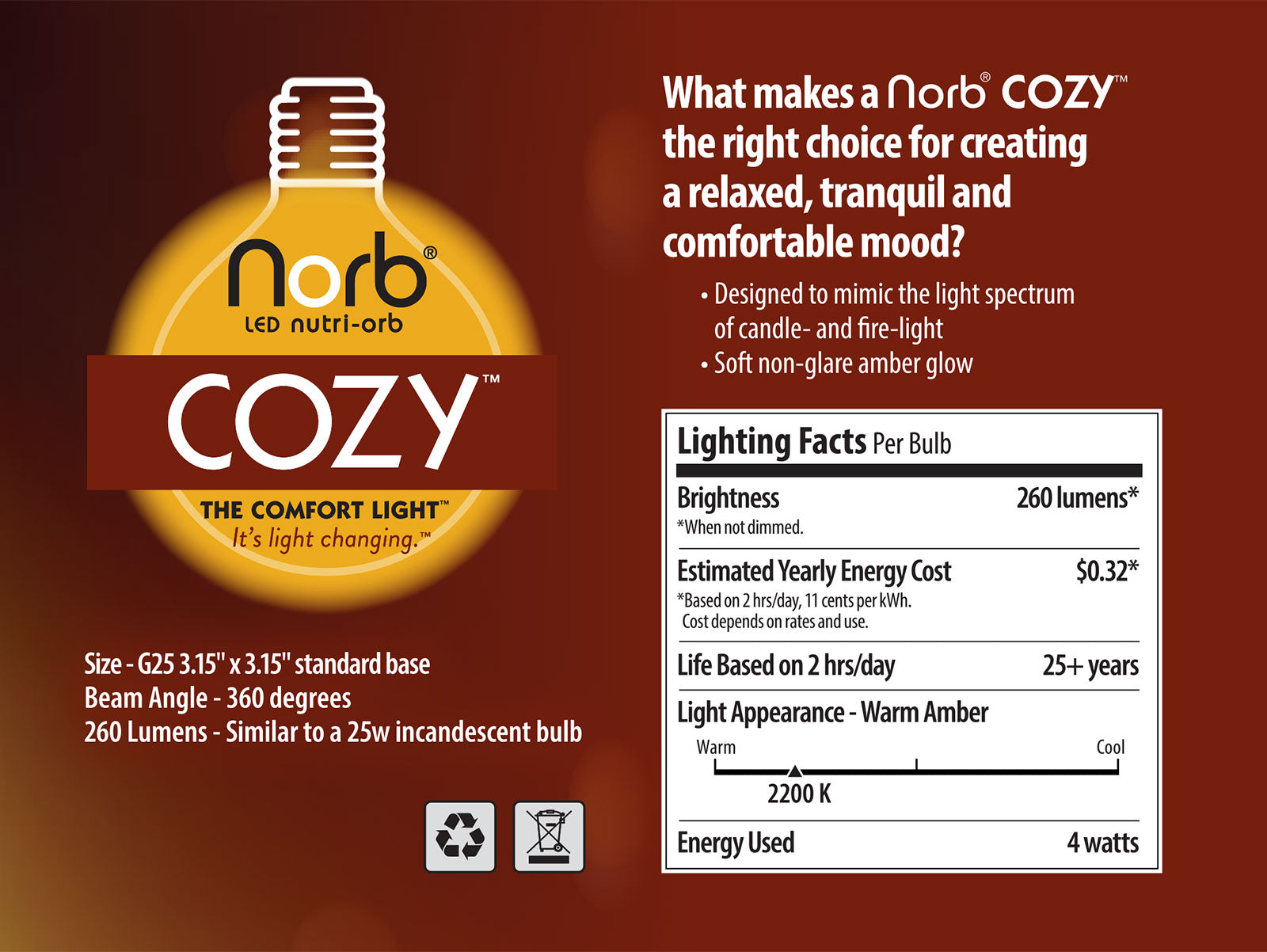 Cozy Medium Globe - 4-Pack