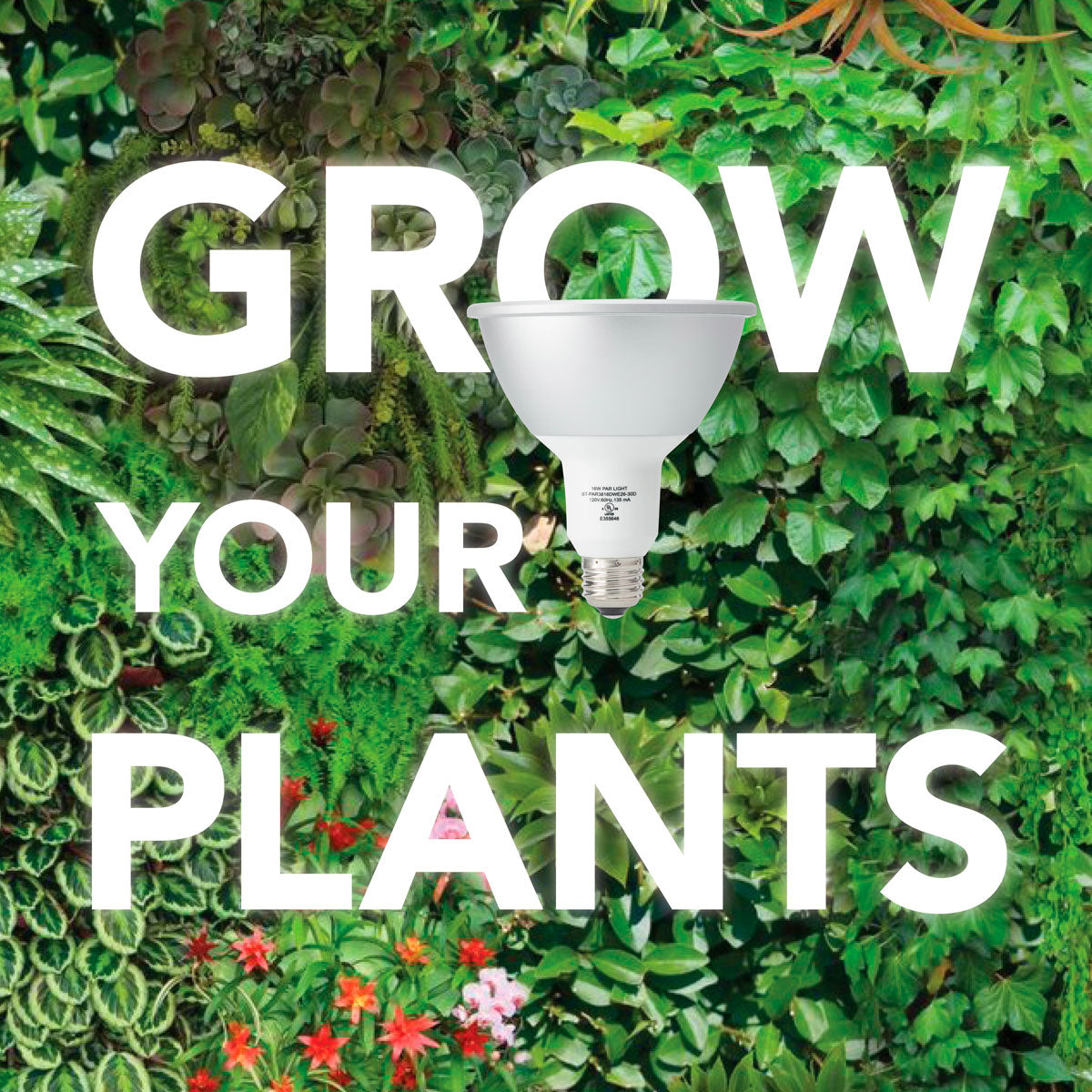 Botanic Grow Light - Small Scale