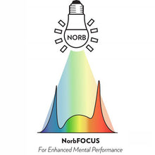 Load image into Gallery viewer, NorbFOCUS A19