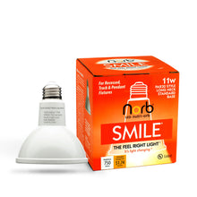 Load image into Gallery viewer, NorbSMILE PAR30 Long Neck