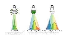 Load image into Gallery viewer, NorbRELIEF A19 Migraine Relief Green Light Therapy