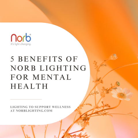 Shedding Light on Mental Health