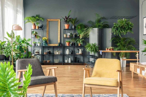 Research Proven Indoor Grow Lights