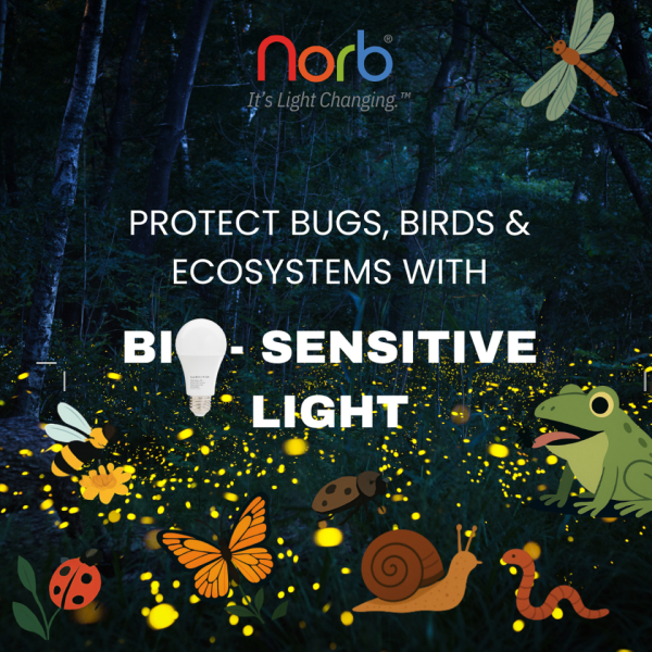 Why Bugs Matter: The Unsung Heroes of Our World