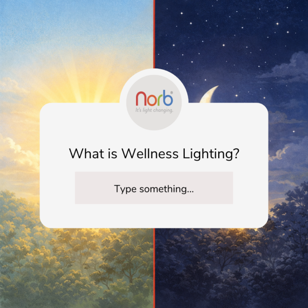 What is Wellness Lighting?