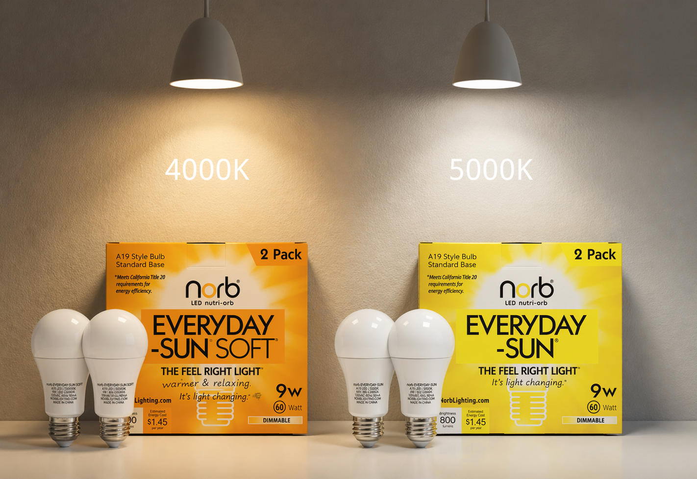5000K vs 4000K Lighting: Which NorbEVERYDAY-SUN Is Right for You?