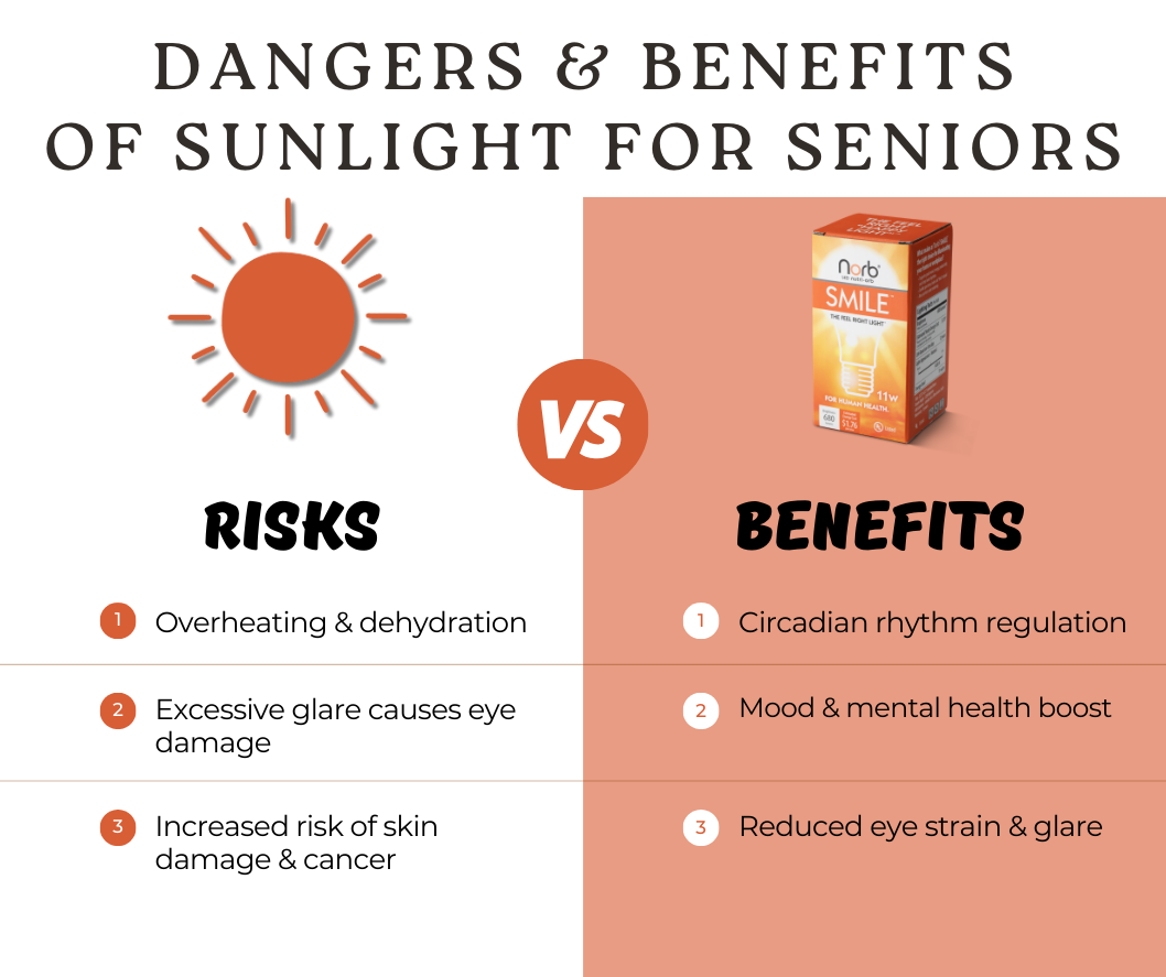 Bright Ideas: Safe Sunlight Solutions for Seniors
