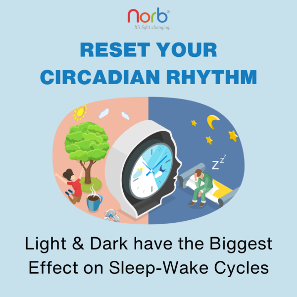 Say Hello to Fall with a Circadian Rhythm Reset