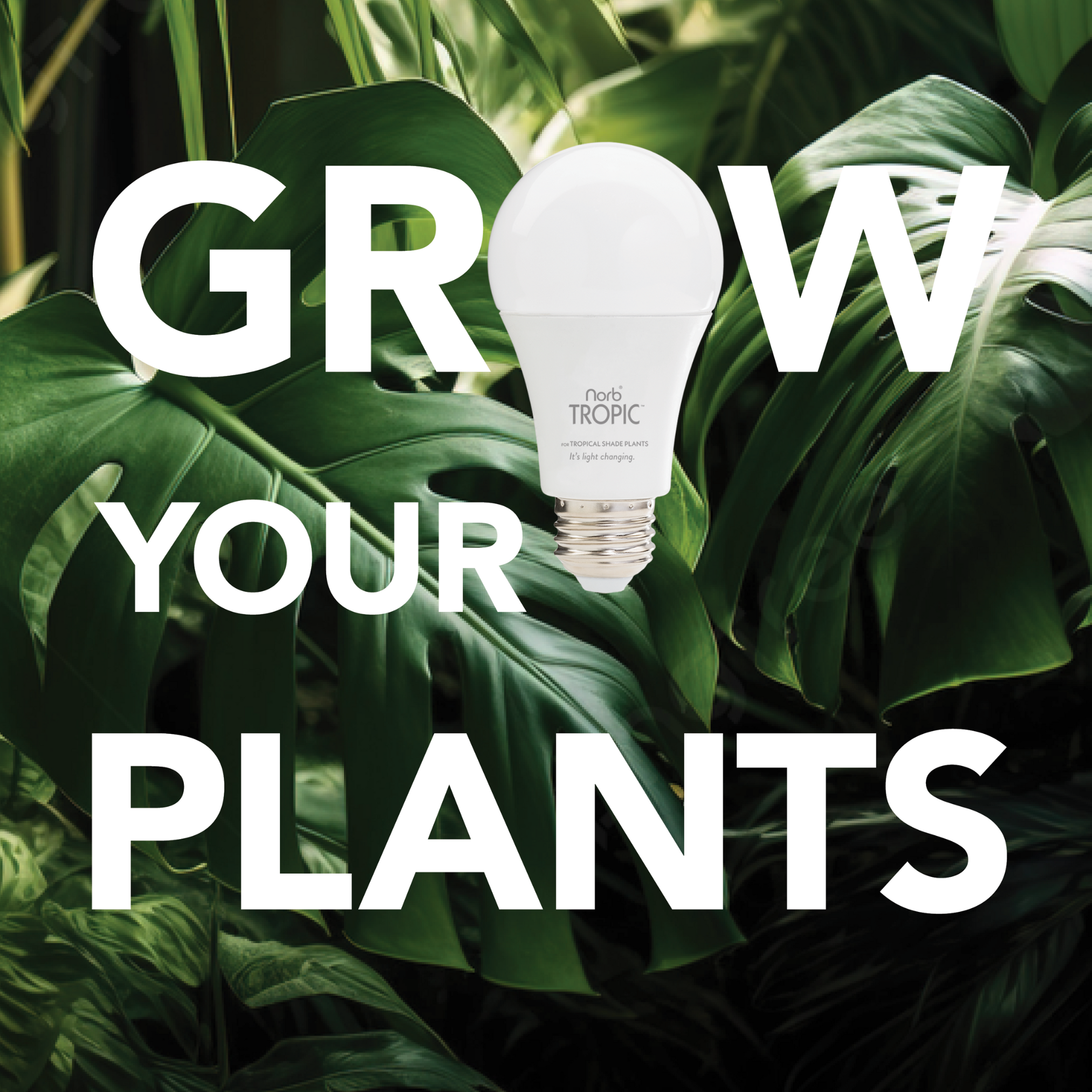 Tropical Soft Green Grow Light - Small Scale