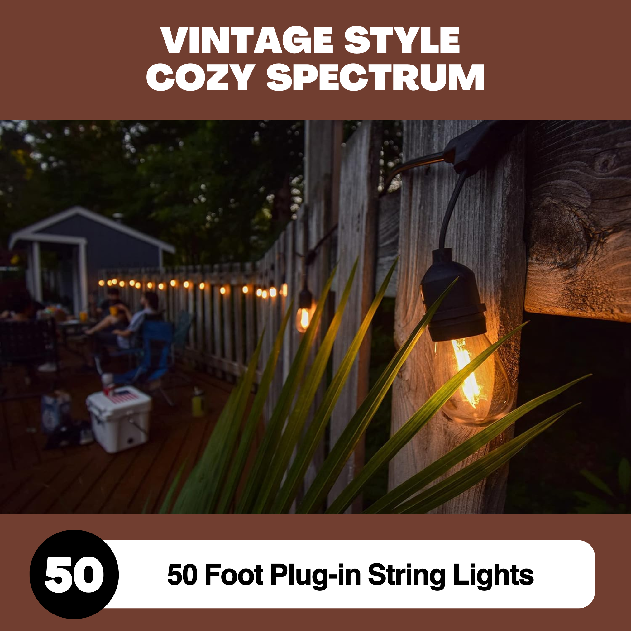 String Light - 50-Foot