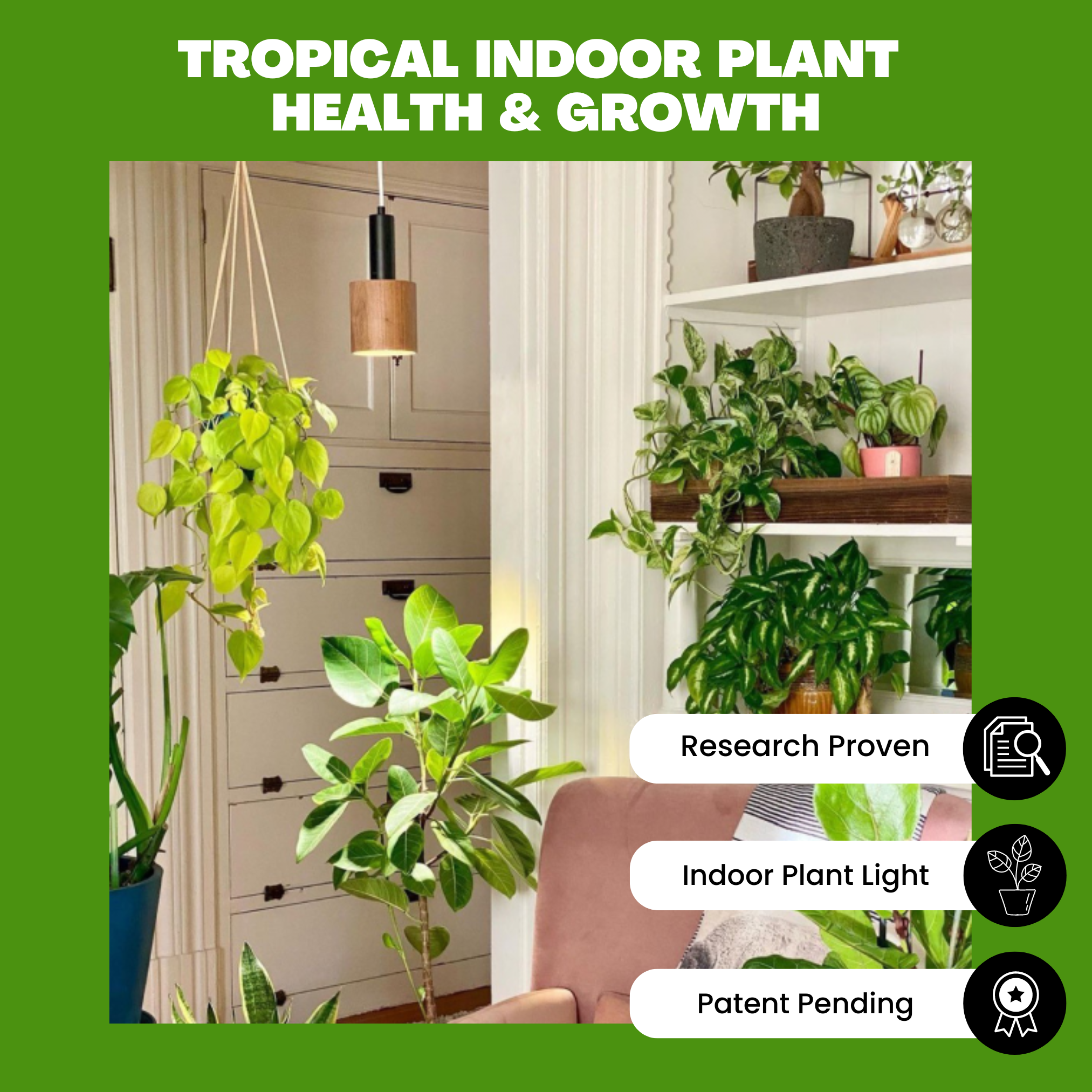 Tropical Soft Green Grow Light - Small Scale