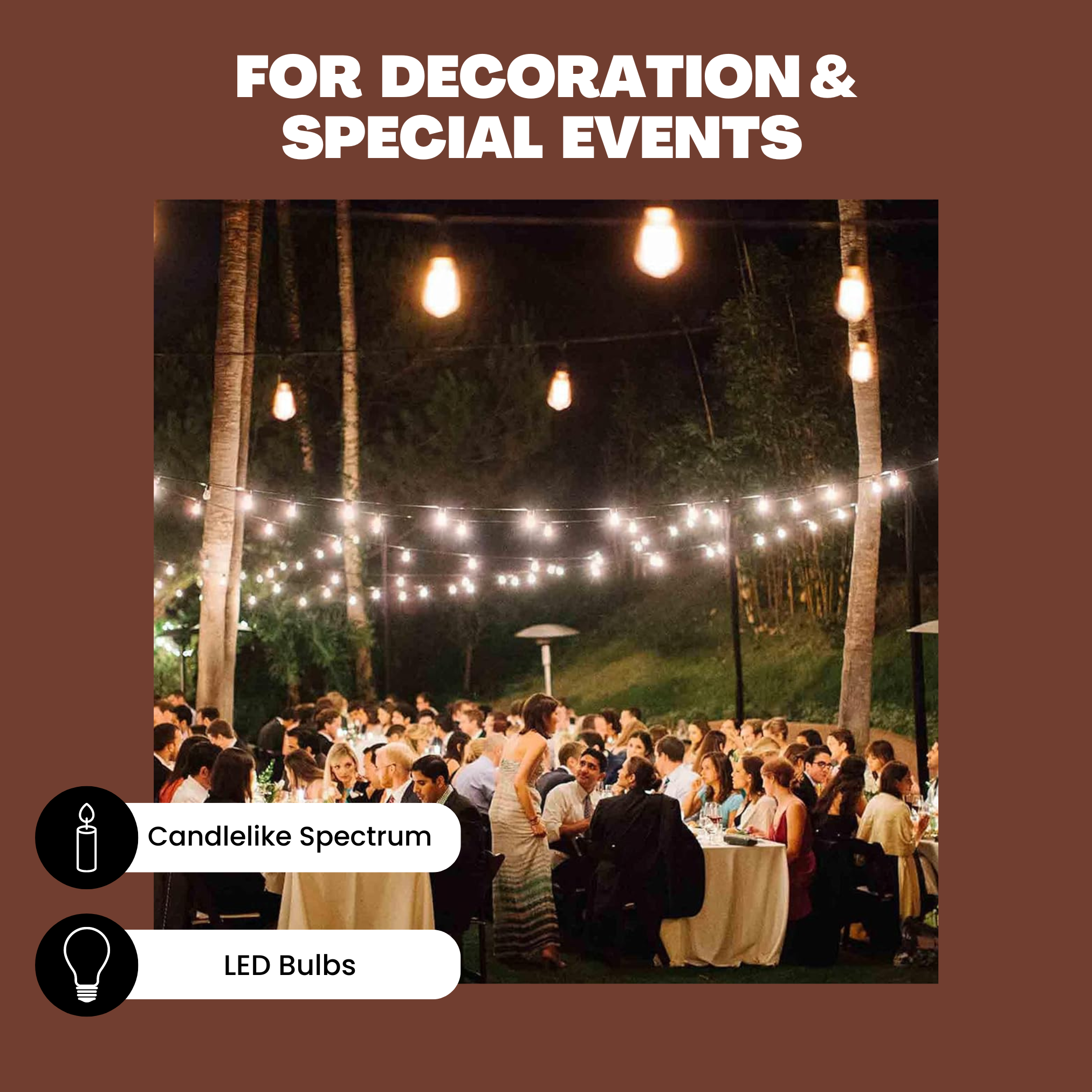 Solar String Lights - 35-Foot